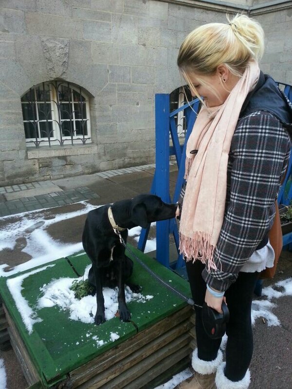 Jacob_bestdog's tweet photo. For mummy i am the biggest and the only number 1 <3 http://t.co/hk2LhxzG