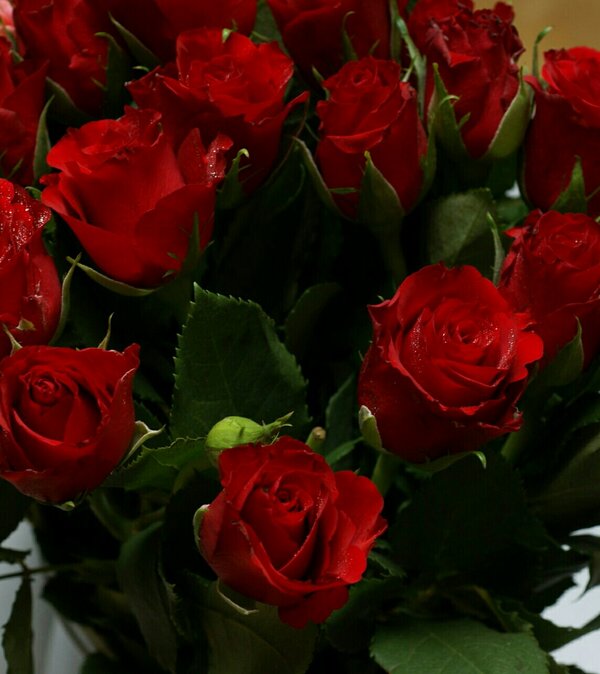 AmaliaGliga's tweet photo. Bueenos días!! Y feliz día del comercio todo lo demás es una mentira!! Que viva el AM♥R! :))) http://t.co/2BkWAWw3
