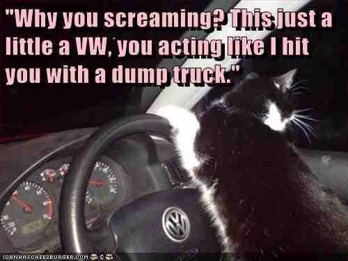 <a href="/500ThingsMyCatT/">Adam Post APMG</a> was just a little bump..