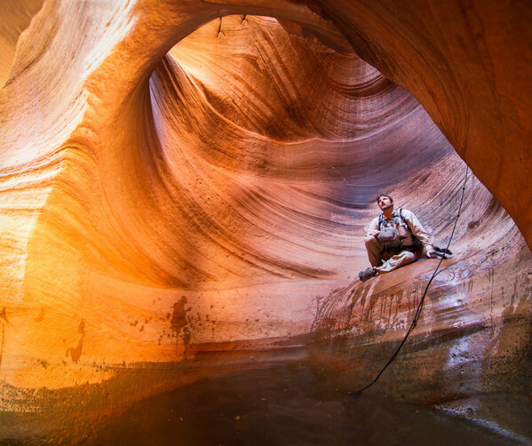 Canyon Collective tweet media