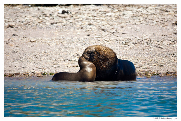 Feliz día para todos los enamorados!