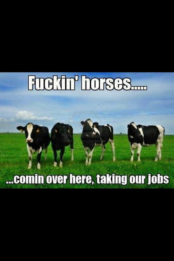 TheArdmoreBar's tweet photo. Us Irish are always complaining 😂😂😂 http://t.co/V8Iabn1D