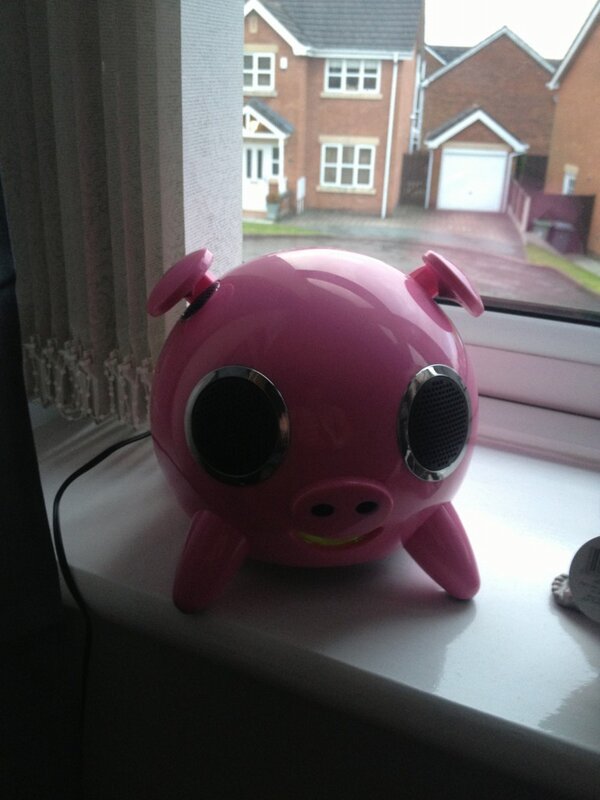 dannys1313's tweet image. This is what a music player looks like #iPig