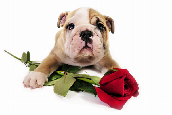 Po_st's tweet photo. Happy Valentines Day! Share the love #PostTweets via @Po_st http://t.co/hXuYJdKe