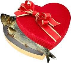 ♥♥♥ HAPPY VALENTINE'S DAY EFURRYONE ♥♥♥ #wlf #WolfiesPorch