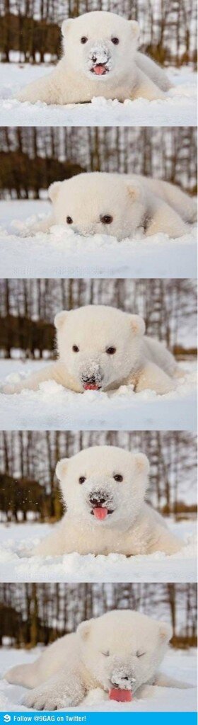 haaaaaa1's tweet photo. Awww http://t.co/ZDYI1ds2