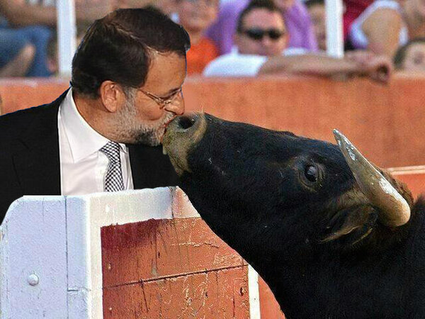 Dolors Boatella tweet media