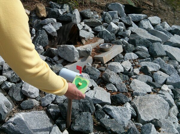 beltlinepiper's tweet photo. Thanks for the Valentines! http://t.co/tJc2z7Lq