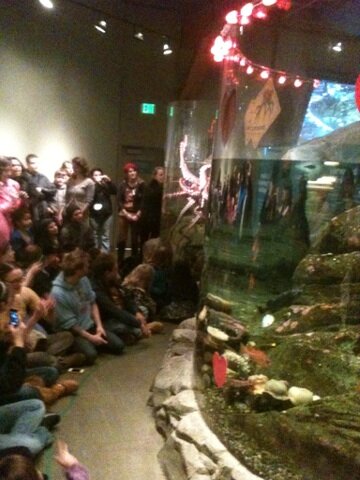 jocelyn_ellis's tweet photo. RT @conserve_wa: It's time for Octopus Blind Date! RT @SeattleAquarium: Looks like Squirt is getting a little excited! http://t.co/ee4qYAli