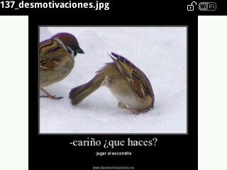 NinesLQSA's tweet photo. :-) http://t.co/NUkadCss