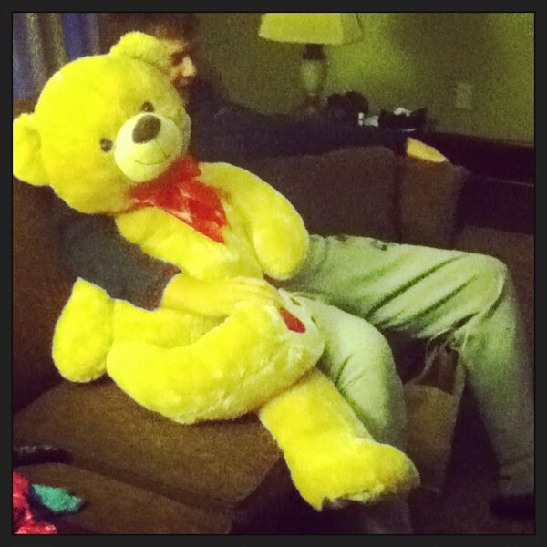 molly452's tweet photo. My two big bears!!! #too #cute #love #my #boy http://t.co/c2o27vFG