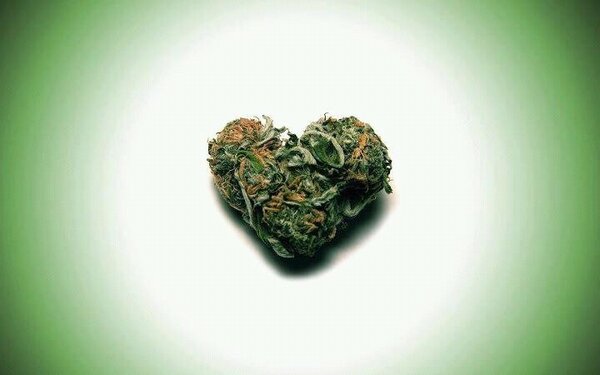 Icepinklips's tweet photo. Happy V Day pot heads💨💨💨💨 http://t.co/BBu4b0gY