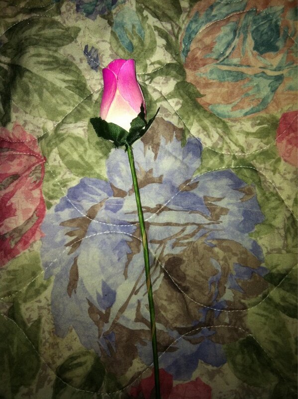 Tal vez sea una rosa .poco significara para muchos,pero tiene mi corazón solo para ti.te amo..bb..con todo mi amor