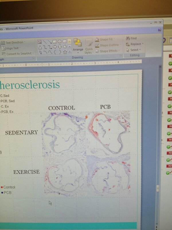 Maggie Murphy tweet media