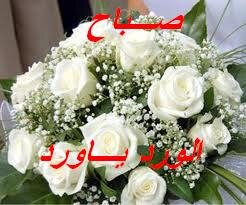 الصقر tweet media