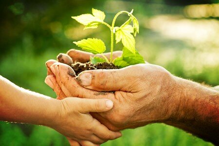 HaloLegal's tweet photo. Why make a #will? Get in touch for FREE advice http://t.co/VfoV2DHv http://t.co/qNy4owod