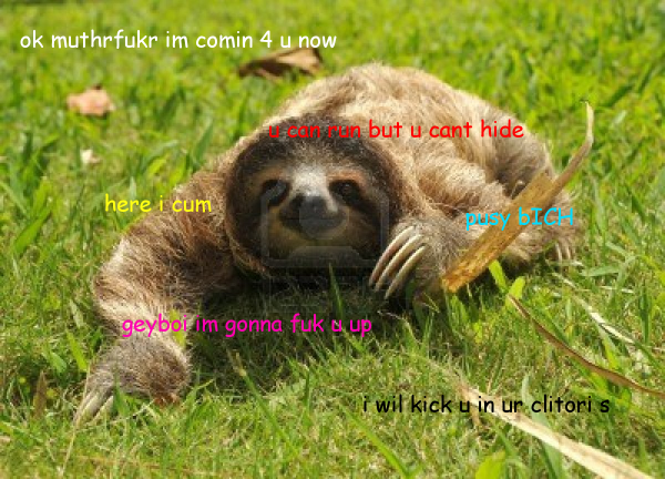 Rude Sloth tweet media