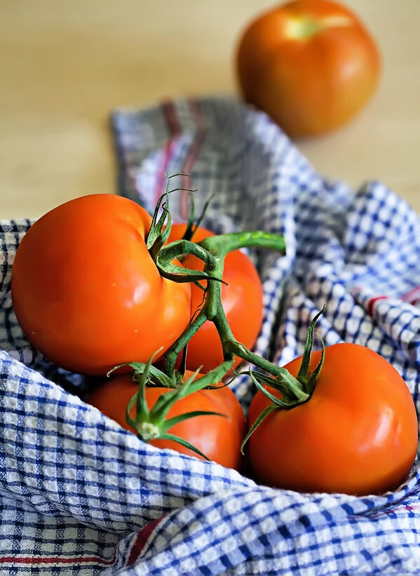 hazel_melbourne's tweet image. Tomato pictures. Canon 5D2+100mm.