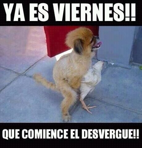 rorrisbecker's tweet photo. Ya es viernes !!!! http://t.co/GAnDbPNw