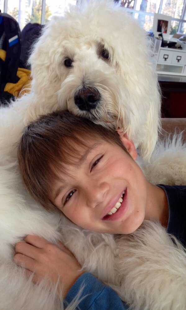 RobertBeer68's tweet photo. My two favorite boys #booboobeer #RyderBeer http://t.co/ZlEQy1Ux