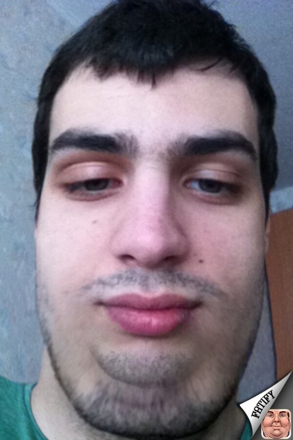 Алексей Ермолаев (@ermolaevalexey) | Twitter