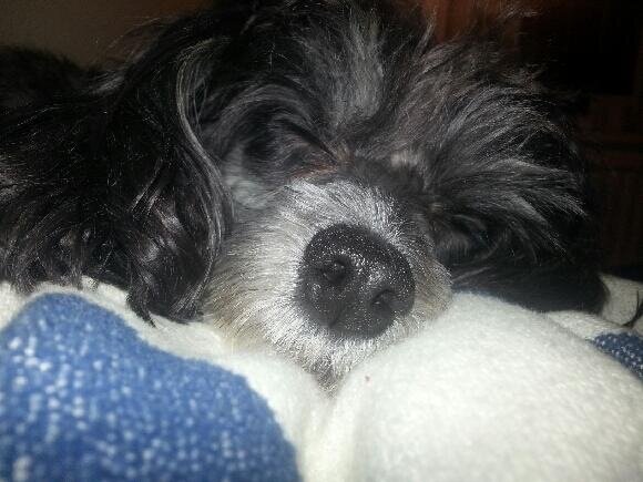 anders ericsson (@ae3435) on Twitter photo 