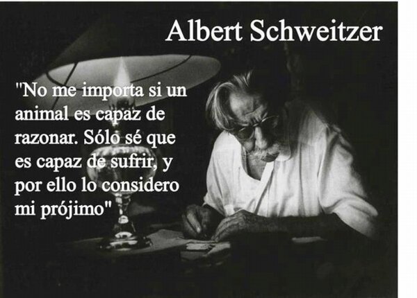 NancyGonzalez88's tweet photo. http://t.co/d3JfYnMF