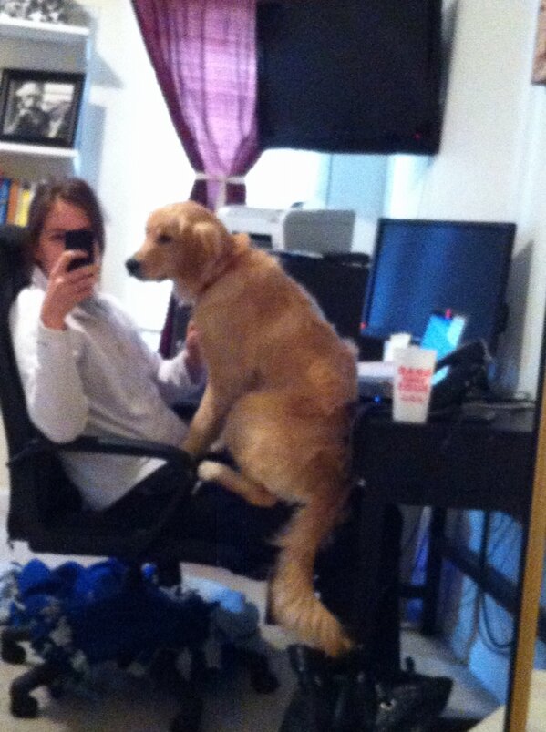ColleenPersic's tweet photo. @PBarras - got that new receptionist #workingfromhome #dogsecretary http://t.co/EUC0Y0s5