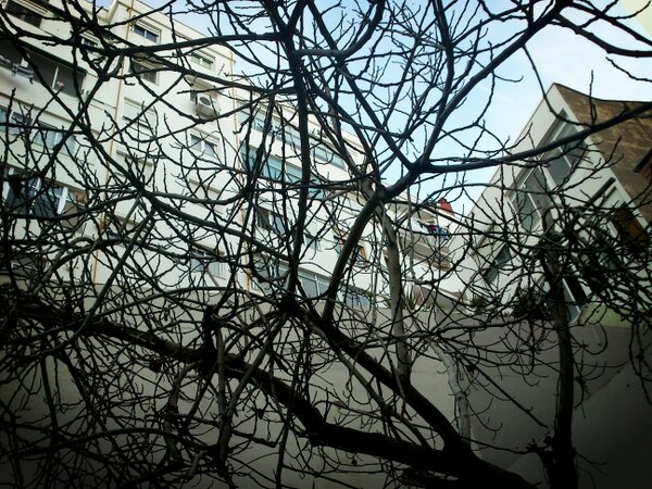 mariaarpe_zgz's tweet image. Vistas #Local97