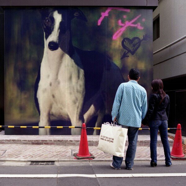 FifiWhippet's tweet image. TGIF...Thank God It&apos;s Fifi!!!