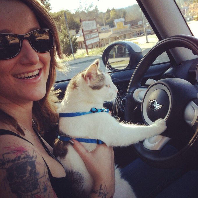 My cat kicks ass! http://t.co/LncDBesl