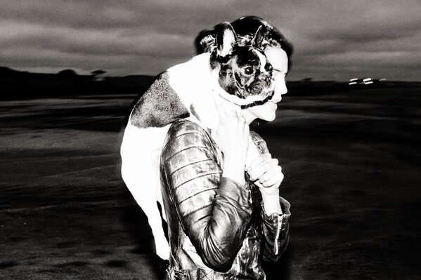 Link permanente da imagem incorporada