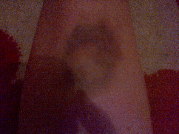 morganxalex's tweet image. #moshpits
