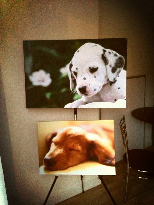 Canvas's printed same day from £35 (introductory offer) T&amp;C's apply