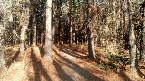 mx5d's tweet image. :-)