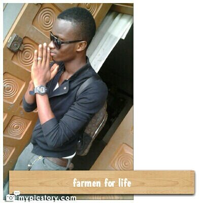 Farmen tweet media