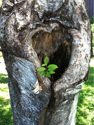 DesignHib's tweet image. Waiting for summer