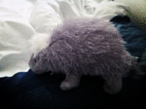 Porcupette