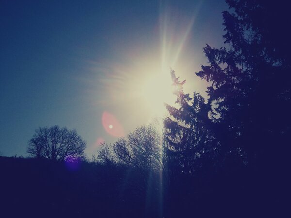 Ootiskulf's tweet photo. 16 février 2013... http://t.co/koYlG8vI