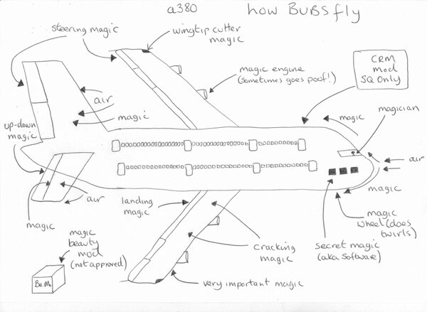 Heathrow Director tweet media
