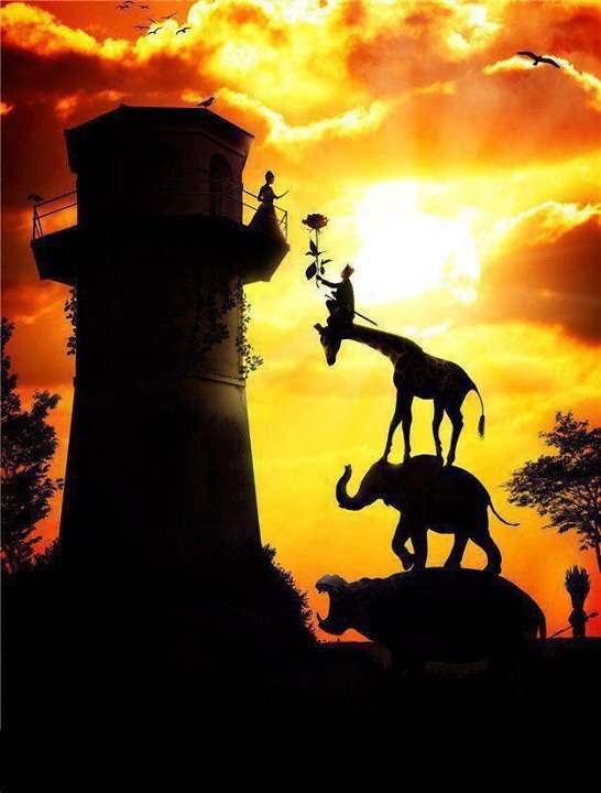 태양을향해 (@hjk0217) on Twitter photo 