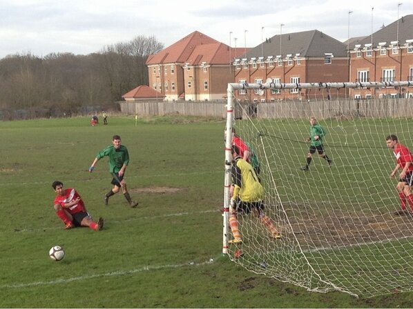 Bob Leeds tweet media