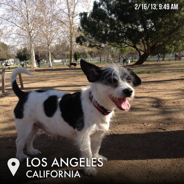 WATSONinLA's tweet photo. Travelgram: Los Angeles, California 2/16/13, 9:49 am via @TravelgramApp http://t.co/gZOQFIMr