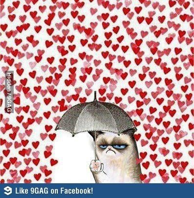 haaaaaa1's tweet photo. Miren esto wauuu!! http://t.co/JSysme4j