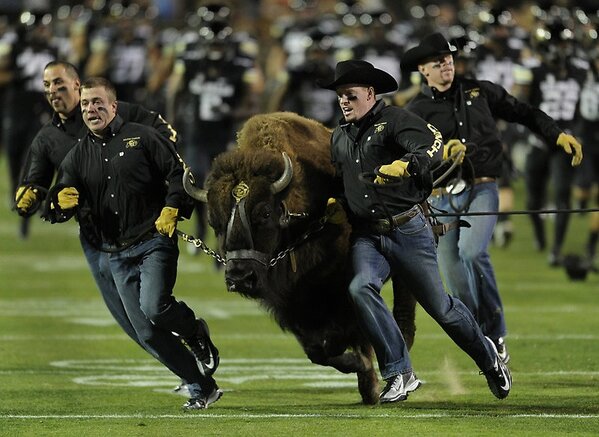 TheJoshAl's tweet photo. good times with @Bgouinplaces @TaylorJames06 @RobSeib3412 @curalphie @espn #gobuffs http://t.co/f4uWqbYA