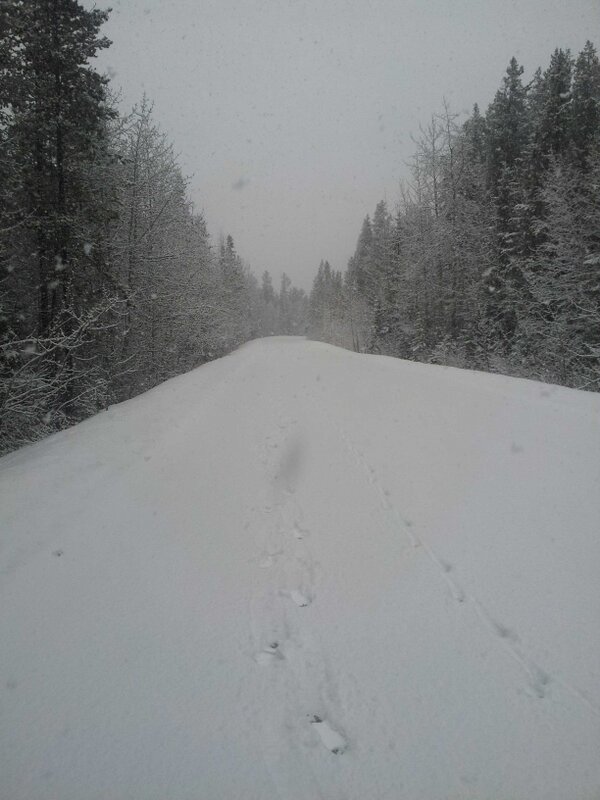 eatjasper's tweet photo. Today we eat snow! (but not the yellow kind : )  #Jasper http://t.co/ylopiOSi