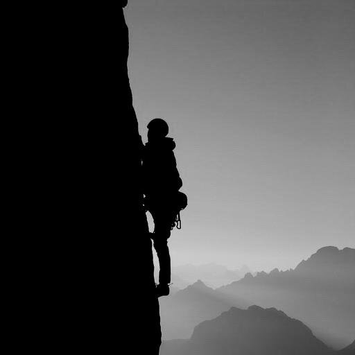 MB OSSO SERVICE tweet media