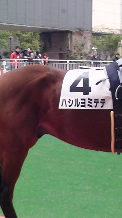 過去いち可愛い名前の馬 ハシルヨミテテが話題に 実況でニッコリしそう 他にもおもろい馬の珍名が続々と発掘される Togetter