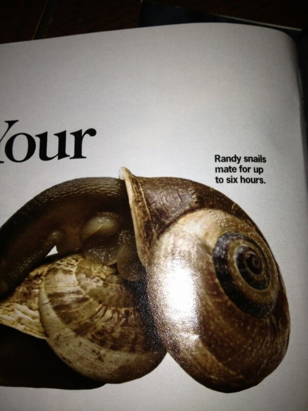 deezwhiz's tweet photo. @randypitz wondering if u have the
Same stamina as your snail counterparts? If u don't wanna tweet me back, dm me. http://t.co/CaI1bHIg