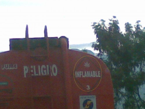 hijabitch's tweet photo. marihuana inflamable! que bichas! http://t.co/1smdFOkt